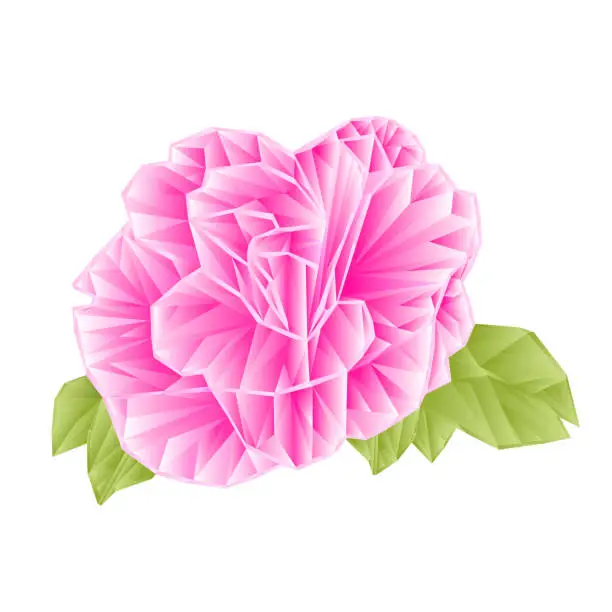 Vector illustration of Camellia Japonica pink flower polygons on a white background vektor illustration