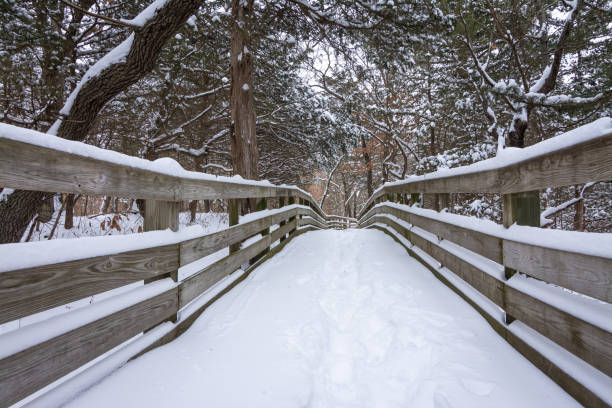 istock Snow covered trails on a brisk winter morning. 1369178027
