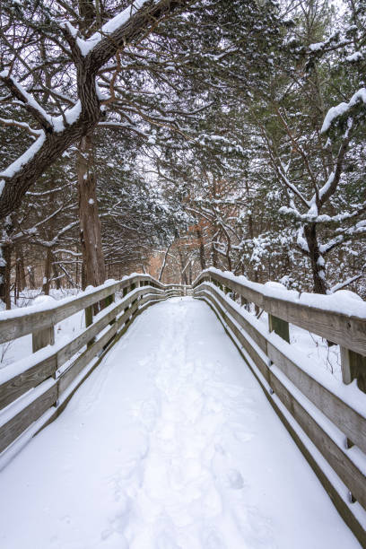 Snow covered trails on a brisk winter morning.