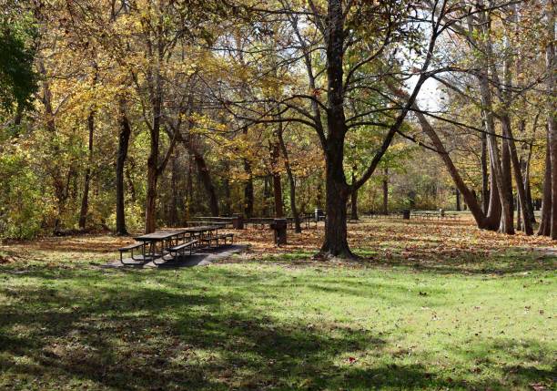 istock Picnic in the Autumn Woods 1369179736