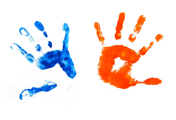 ilustrações, clipart, desenhos animados e ícones de pintura à mão da criança marca fundo branco laranja e azul pintura material da oficina - child art paint humor
