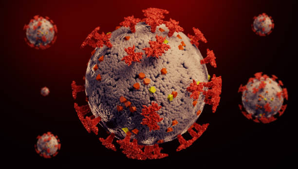 istock Detailed model of coronavirus virus. 1369182237
