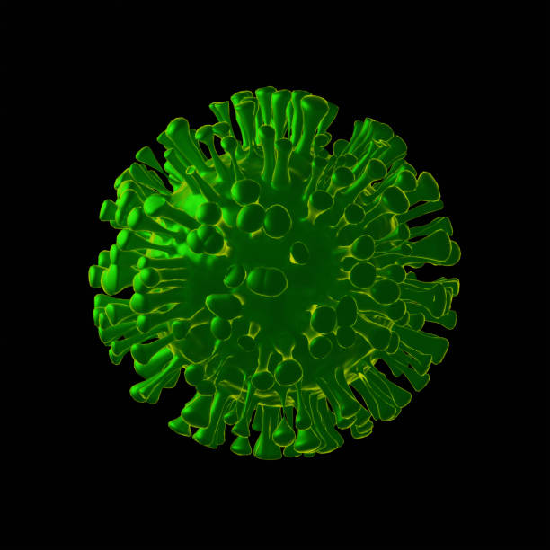 istock Simplified  model of coronavirus virus. 1369182263