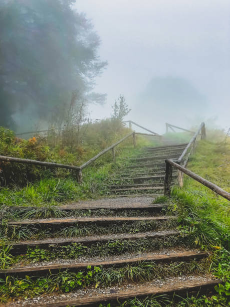 A staircase in the Black Forest in Germany.