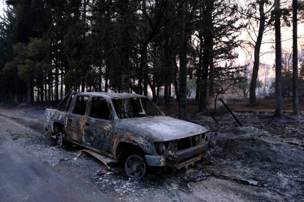 ein verbranntes auto ist nach einem waldbrand im wald zu sehen - house car burnt accident stock-fotos und bilder