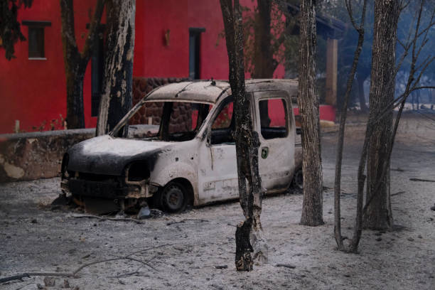 ein verbranntes auto ist nach einem waldbrand im wald zu sehen - house car burnt accident stock-fotos und bilder