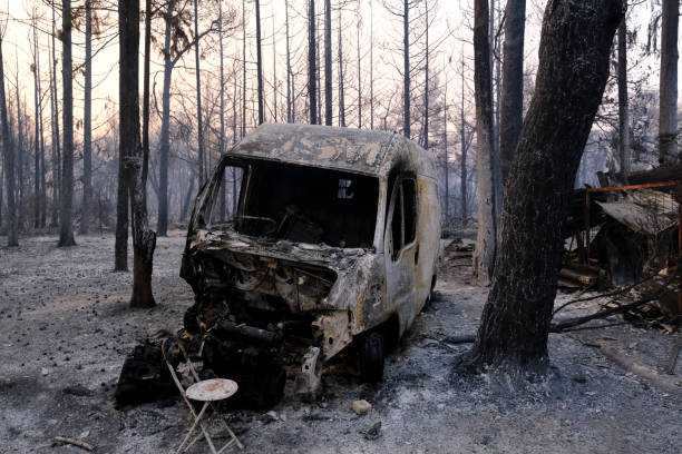 山火事の後、森の中で焼けた車が見える - house car burnt accident ストックフォトと画像