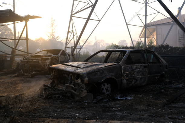 un'auto bruciata viene vista nella foresta dopo un incendio - house car burnt accident foto e immagini stock