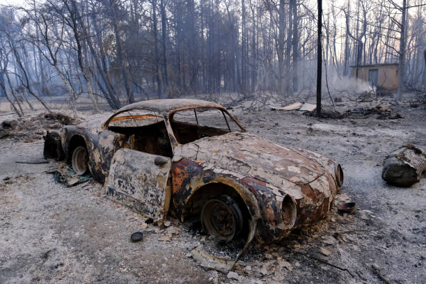 un'auto bruciata viene vista nella foresta dopo un incendio - house car burnt accident foto e immagini stock