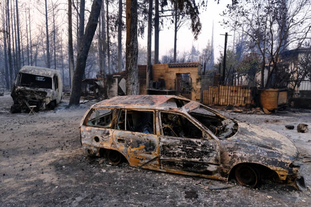 ein verbranntes auto ist nach einem waldbrand im wald zu sehen - house car burnt accident stock-fotos und bilder