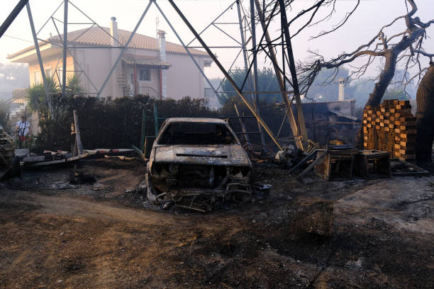 un'auto bruciata viene vista nella foresta dopo un incendio - house car burnt accident foto e immagini stock