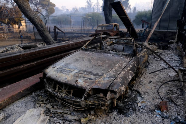 ein verbranntes auto ist nach einem waldbrand im wald zu sehen - house car burnt accident stock-fotos und bilder