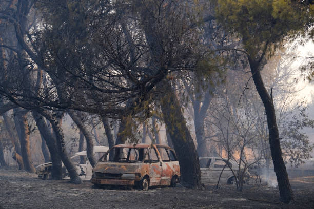 ein verbranntes auto ist nach einem waldbrand im wald zu sehen - house car burnt accident stock-fotos und bilder