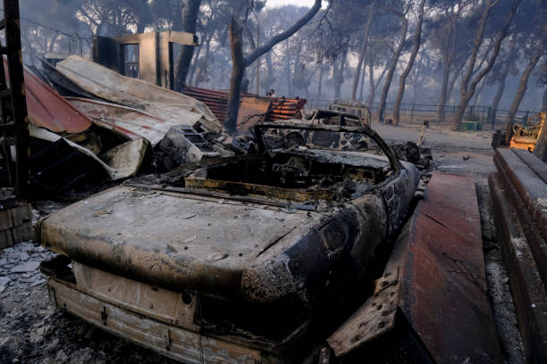 ein verbranntes auto ist nach einem waldbrand im wald zu sehen - house car burnt accident stock-fotos und bilder