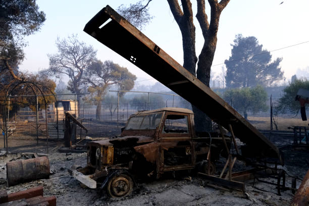 un'auto bruciata viene vista nella foresta dopo un incendio - house car burnt accident foto e immagini stock