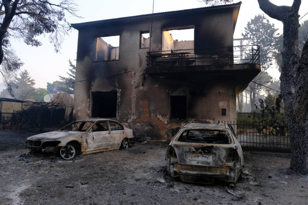 un'auto bruciata viene vista nella foresta dopo un incendio - house car burnt accident foto e immagini stock