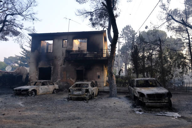 un'auto bruciata viene vista nella foresta dopo un incendio - house car burnt accident foto e immagini stock