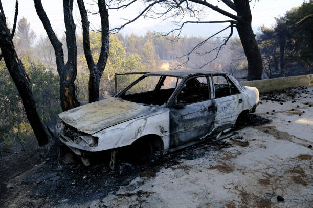 ein verbranntes auto ist nach einem waldbrand im wald zu sehen - house car burnt accident stock-fotos und bilder