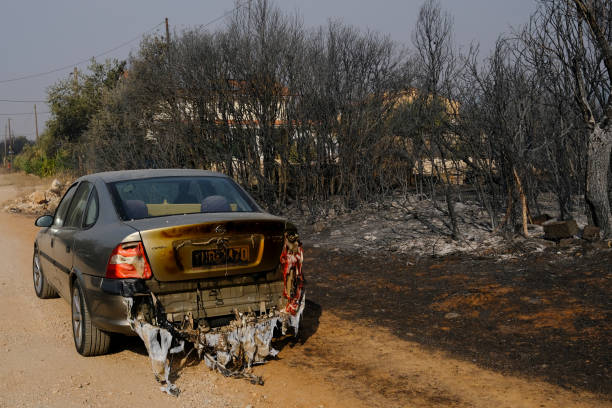 山火事の後、森の中で焼けた車が見える - house car burnt accident ストックフォトと画像