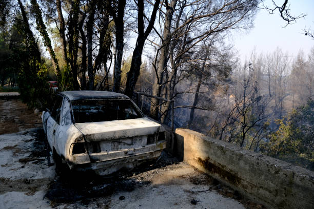 ein verbranntes auto ist nach einem waldbrand im wald zu sehen - house car burnt accident stock-fotos und bilder