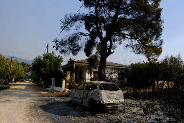 山火事の後、森の中で焼けた車が見える - house car burnt accident ストックフォトと画像