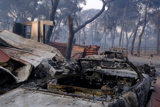 un'auto bruciata viene vista nella foresta dopo un incendio - house car burnt accident foto e immagini stock