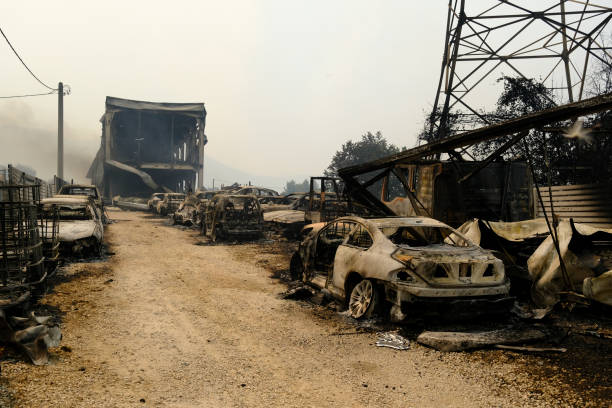 ein verbranntes auto ist nach einem waldbrand im wald zu sehen - house car burnt accident stock-fotos und bilder