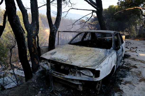 ein verbranntes auto ist nach einem waldbrand im wald zu sehen - house car burnt accident stock-fotos und bilder