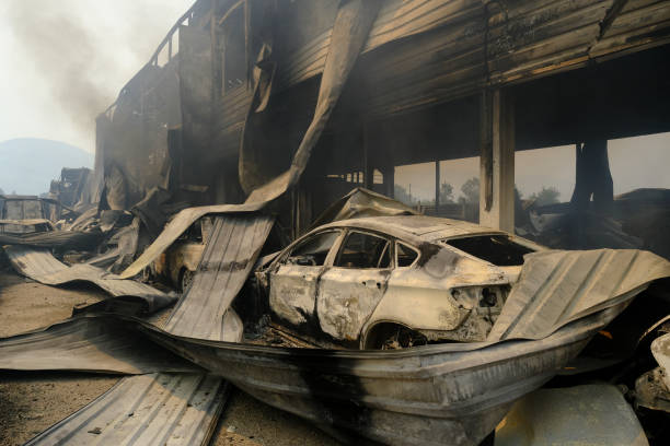spalony samochód widziany jest w lesie po pożarze - house car burnt accident zdjęcia i obrazy z banku zdjęć