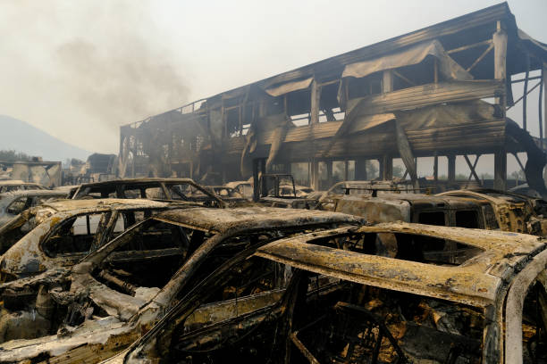 山火事の後、森の中で焼けた車が見える - house car burnt accident ストックフォトと画像