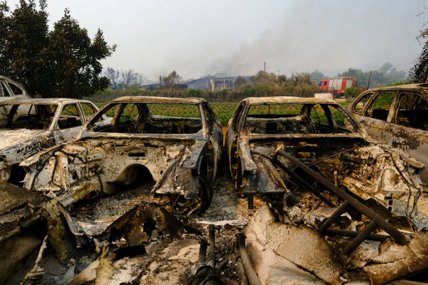 山火事の後、森の中で焼けた車が見える - house car burnt accident ストックフォトと画像