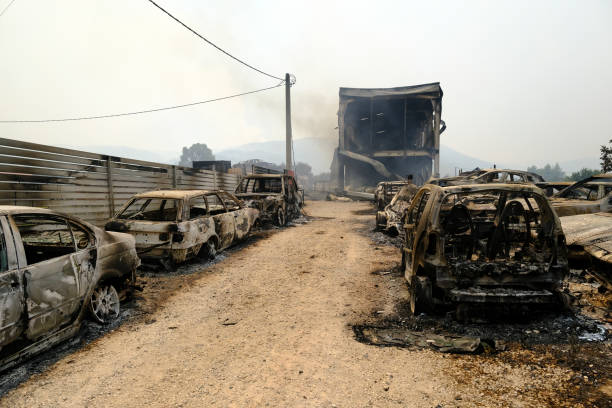 un'auto bruciata viene vista nella foresta dopo un incendio - house car burnt accident foto e immagini stock