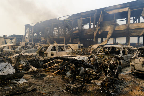 un'auto bruciata viene vista nella foresta dopo un incendio - house car burnt accident foto e immagini stock