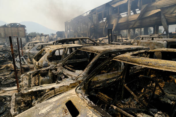 un'auto bruciata viene vista nella foresta dopo un incendio - house car burnt accident foto e immagini stock
