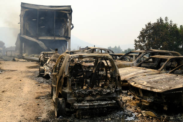 ein verbranntes auto ist nach einem waldbrand im wald zu sehen - house car burnt accident stock-fotos und bilder