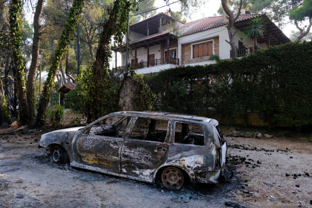 un'auto bruciata viene vista nella foresta dopo un incendio - house car burnt accident foto e immagini stock