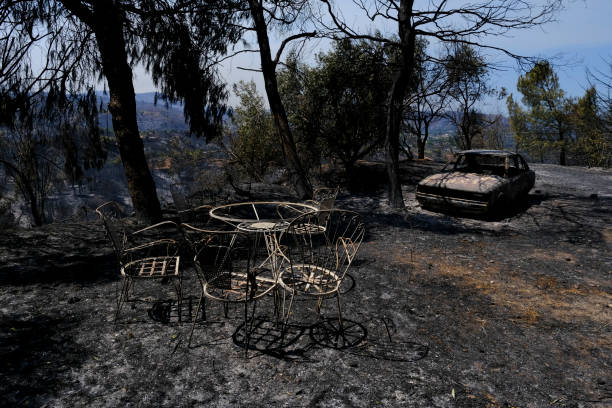 un'auto bruciata viene vista nella foresta dopo un incendio - house car burnt accident foto e immagini stock