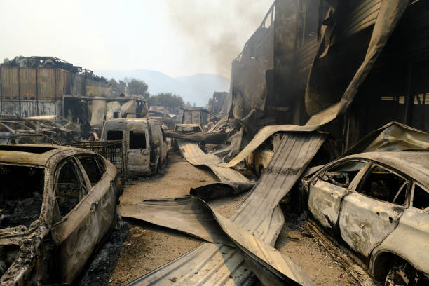 山火事の後、森の中で焼けた車が見える - house car burnt accident ストックフォトと画像