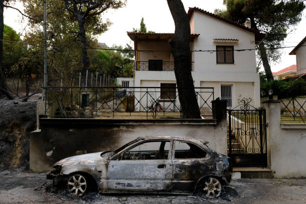 ein verbranntes auto ist nach einem waldbrand im wald zu sehen - house car burnt accident stock-fotos und bilder