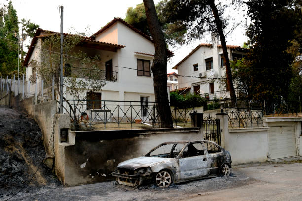 un'auto bruciata viene vista nella foresta dopo un incendio - house car burnt accident foto e immagini stock