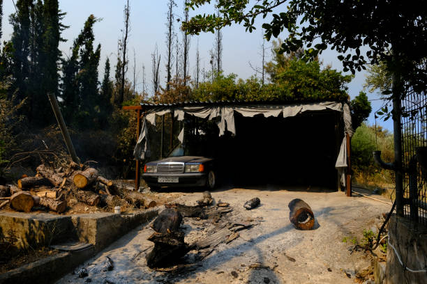 山火事の後、森の中で焼けた車が見える - house car burnt accident ストックフォトと画像