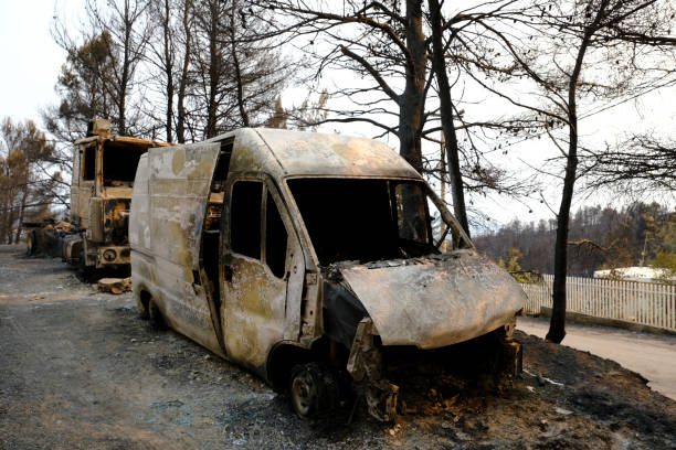 山火事の後、森の中で焼けた車が見える - house car burnt accident ストックフォトと画像