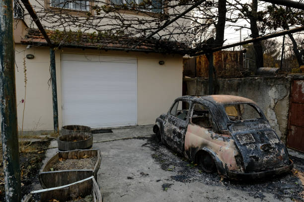 山火事の後、森の中で焼けた車が見える - house car burnt accident ストックフォトと画像