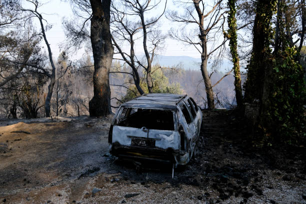 山火事の後、森の中で焼けた車が見える - house car burnt accident ストックフォトと画像