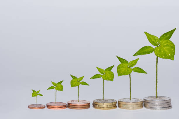 istock euro coins stacked in a row increasing in value with different green plants on gray background 1369185055