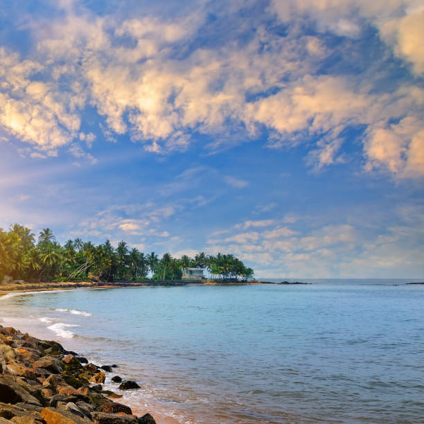 istock Beautiful sunrise over a tropical beach with palm trees. 1369186233