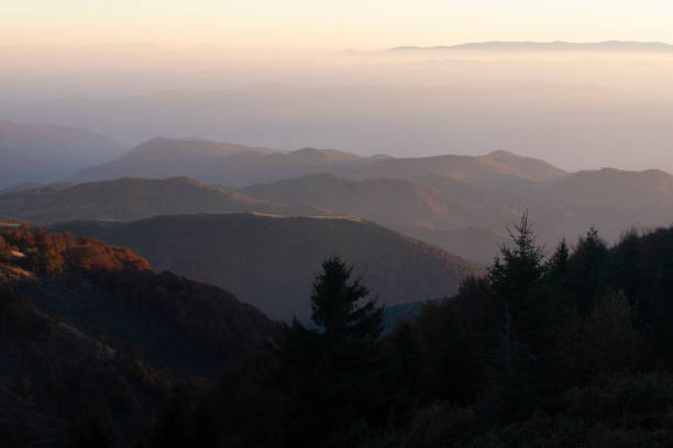 早朝の日の出に霧のセルビア山脈の秋の風景。 ストックフォト