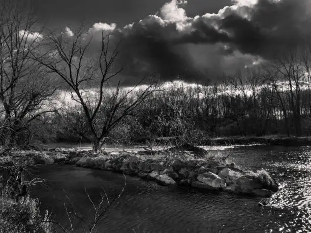 River Ybbs with Bare Trees on a Winter Day in the Mostviertel Region of Austria near Amstetten in Black and White