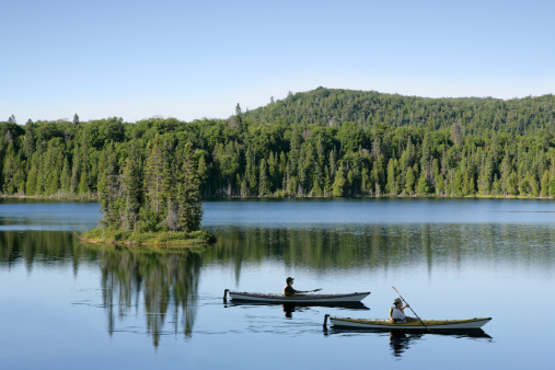 father and son kayaking on serene lake with bright sky (XXL)