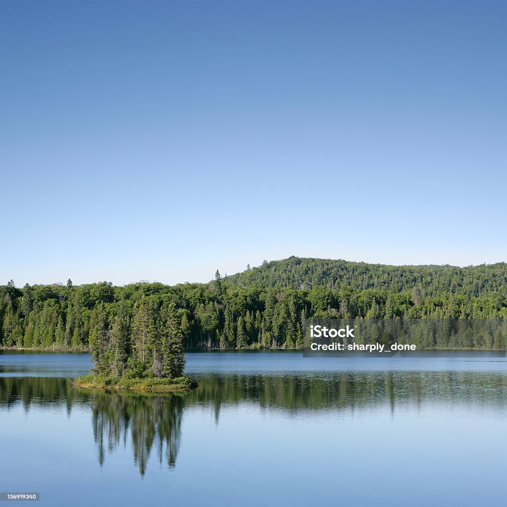 XXXL wilderness lake i forest - Zbiór zdjęć royalty-free (Jezioro)